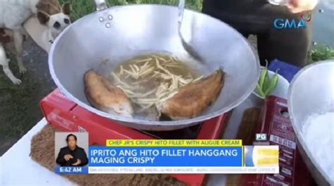 Dalawang aso viral nang makipaglabing.